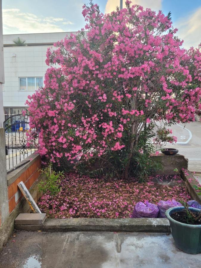 Apartamento Harizma Primošten Exterior foto